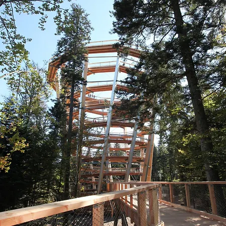 Ringhotel Moench's Waldhotel Hotel Unterreichenbach