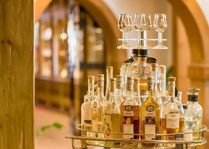 Ringhotel Mönch`s Waldhotel 4*