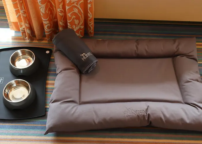 Ringhotel Mönch`s Waldhotel Hotel 4*