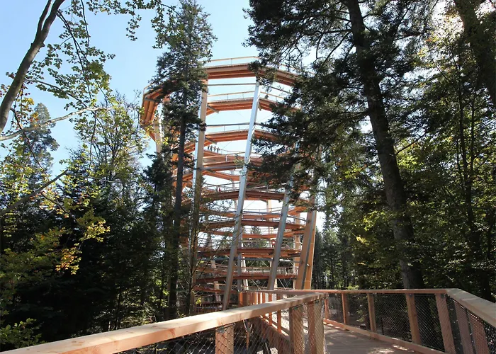 Ringhotel Mönch`s Waldhotel Hotel Unterreichenbach